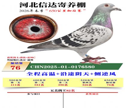 河北信达加站赛76名
