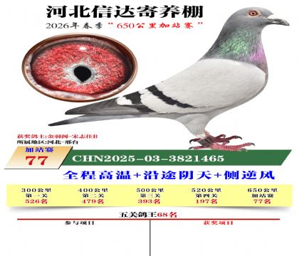 河北信达加站赛77名
