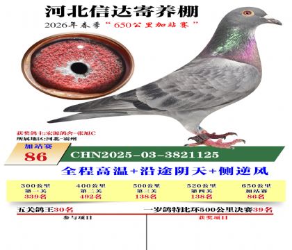 河北信达加站赛86名