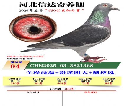 河北信达加站赛94名