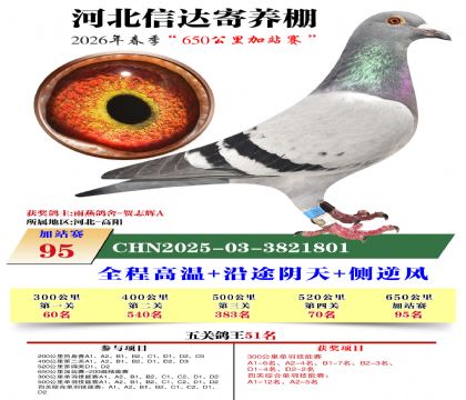 河北信达加站赛95名