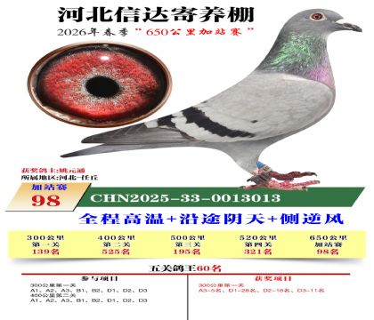 河北信达加站赛98名
