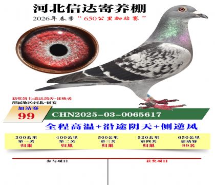 河北信达加站赛99名
