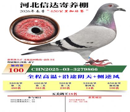 河北信达加站赛100名