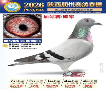 陕西朋悦加站赛4名