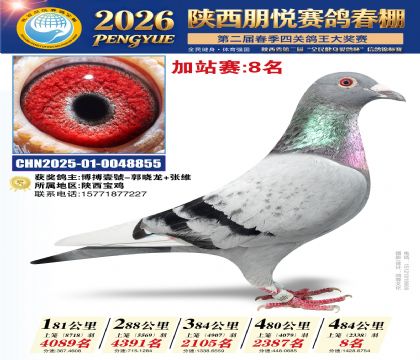 陕西朋悦加站赛8名
