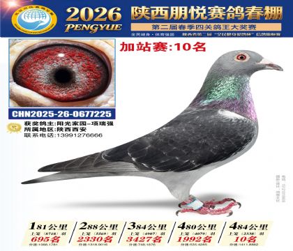 陕西朋悦加站赛10名
