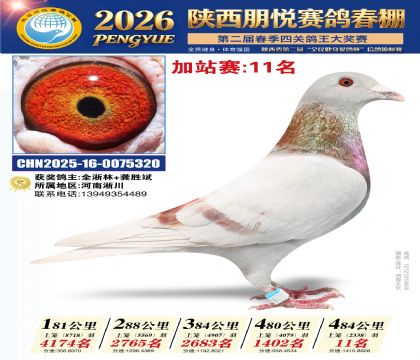 陕西朋悦加站赛11名