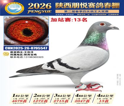陕西朋悦加站赛13名