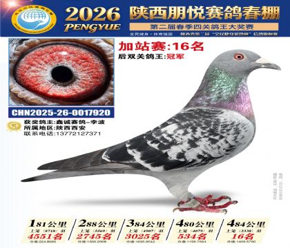 陕西朋悦加站赛16名
