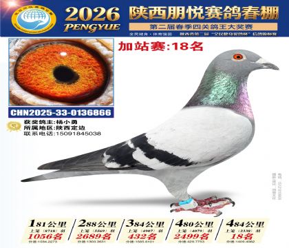 陕西朋悦加站赛18名