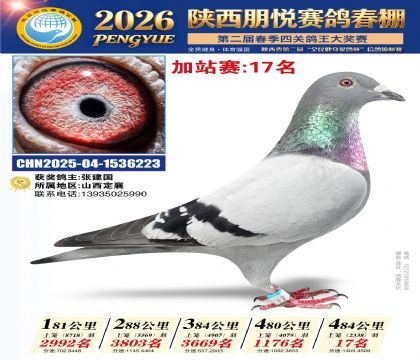 陕西朋悦加站赛17名