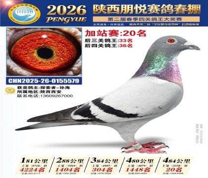 陕西朋悦加站赛20名