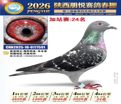陕西朋悦加站赛24名