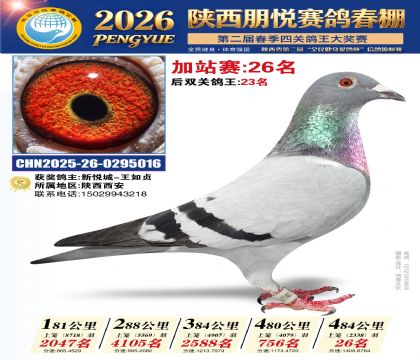 陕西朋悦加站赛26名