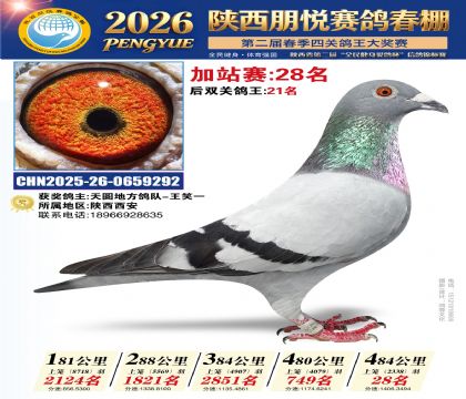 陕西朋悦加站赛28名