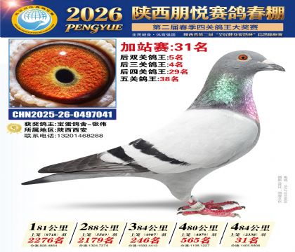 陕西朋悦加站赛31名