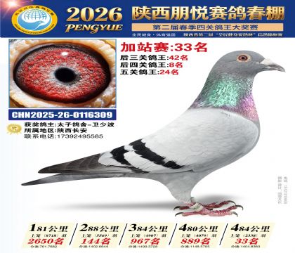 陕西朋悦加站赛33名