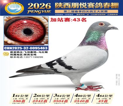 陕西朋悦加站赛43名