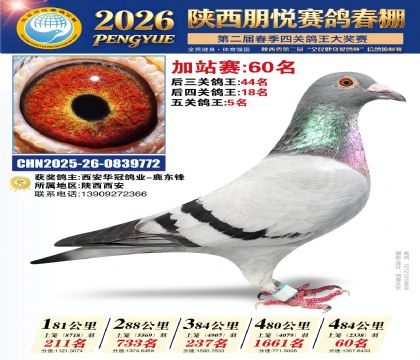 陕西朋悦加站赛60名