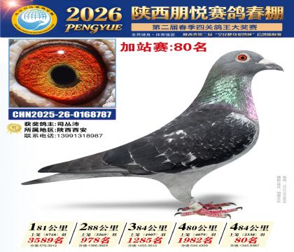 陕西朋悦加站赛80名