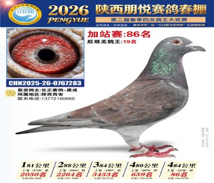 陕西朋悦加站赛86名