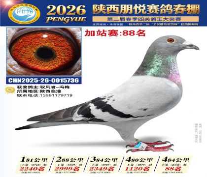 陕西朋悦加站赛88名