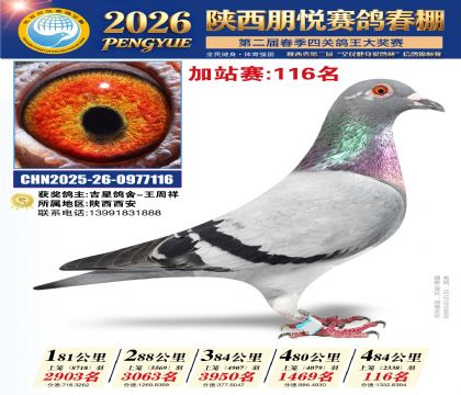 陕西朋悦加站赛116名