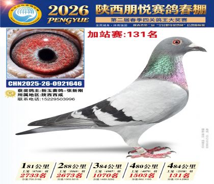 陕西朋悦加站赛131名