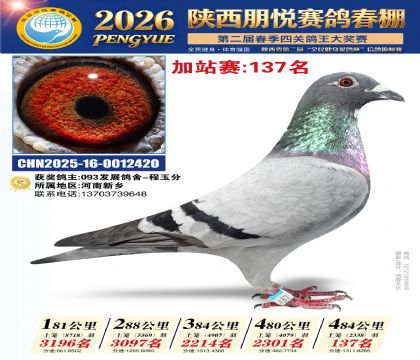 陕西朋悦加站赛137名