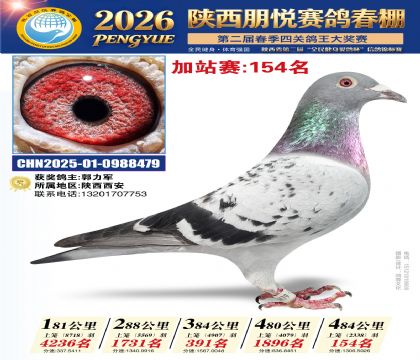 陕西朋悦加站赛154名