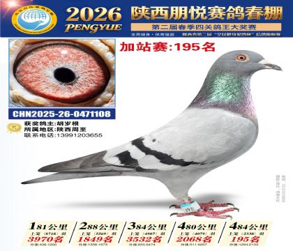 陕西朋悦加站赛195名