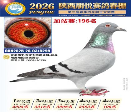 陕西朋悦加站赛196名
