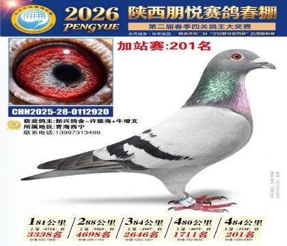 陕西朋悦加站赛201名