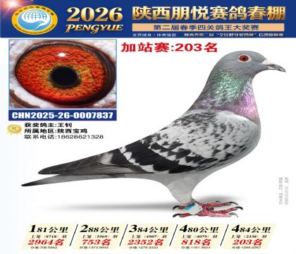 陕西朋悦加站赛203名