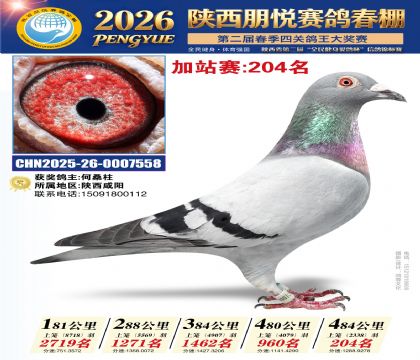 陕西朋悦加站赛204名
