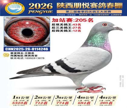 陕西朋悦加站赛205名