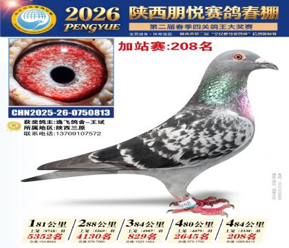 陕西朋悦加站赛208名