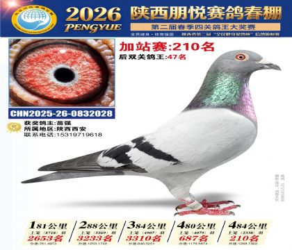 陕西朋悦加站赛210名