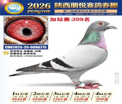陕西朋悦加站赛209名