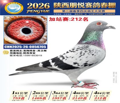 陕西朋悦加站赛212名