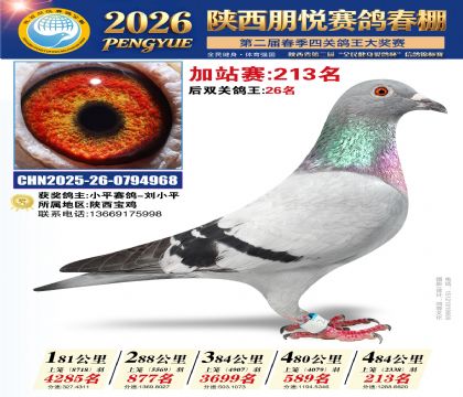 陕西朋悦加站赛213名