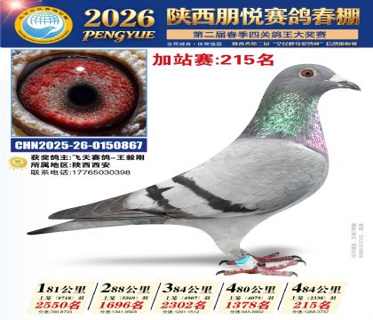 陕西朋悦加站赛215名