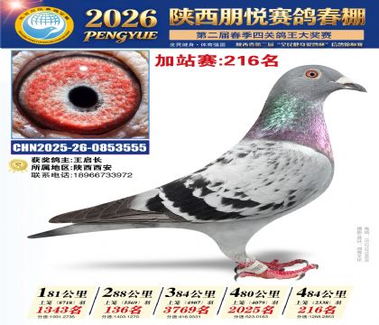 陕西朋悦加站赛216名