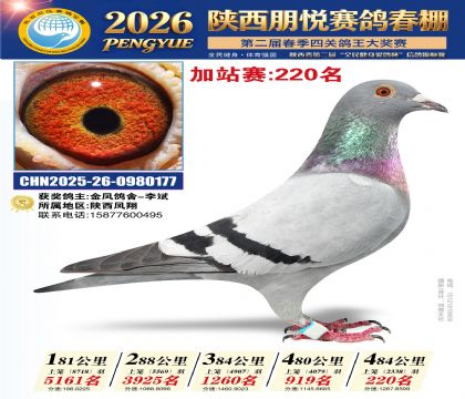 陕西朋悦加站赛220名