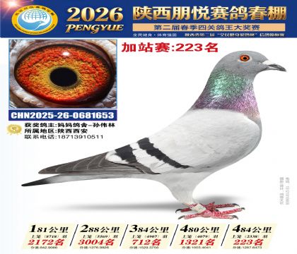 陕西朋悦加站赛223名