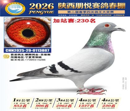 陕西朋悦加站赛230名