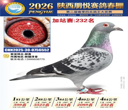 陕西朋悦加站赛232名