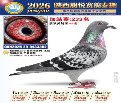 陕西朋悦加站赛233名