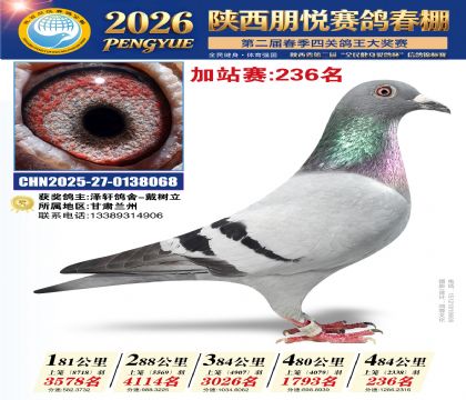 陕西朋悦加站赛236名